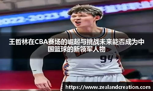 王哲林在CBA赛场的崛起与挑战未来能否成为中国篮球的新领军人物